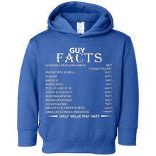 February Guy Facts Born In February Birthday Gift T-Shirt