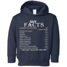 February Guy Facts Born In February Birthday Gift T-Shirt