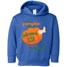 Little Pumpkin Pregnancy Announcement Shirt February 2018