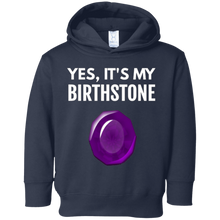Amethyst Birthstone Pisces Birthday Gift T-Shirt