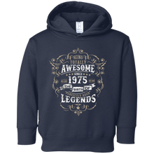 Awesome since 1975 43rd Birthday T Shirt 43 Years Old