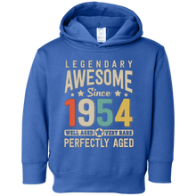 Awesome since 1954 64th Birthday T Shirt 64 Years Old