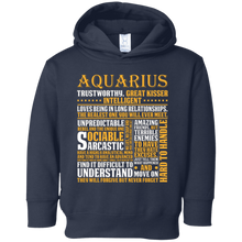 Awesome Aquarius T-Shirt Born In February Pride