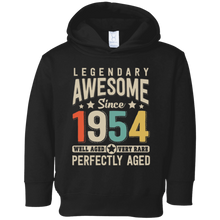 Awesome since 1954 64th Birthday T Shirt 64 Years Old