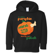March 2018 Little Pumpkin Pregnancy Announcement Shirt Gift