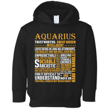 Awesome Aquarius T-Shirt Born In February Pride