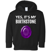 Amethyst Birthstone Pisces Birthday Gift T-Shirt