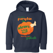 Little Pumpkin Pregnancy Announcement Shirt February 2018
