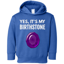 Amethyst Birthstone Pisces Birthday Gift T-Shirt