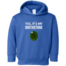 Bloodstone Birthstone Aries Birthday Gift T-Shirt