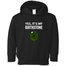 Bloodstone Birthstone Aries Birthday Gift T-Shirt